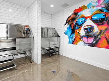 Lexington park pet spa